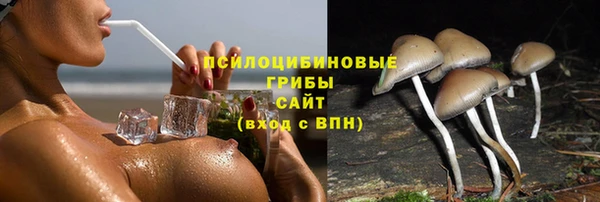 COCAINE Медногорск